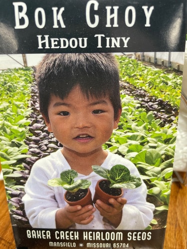 Bok Choy seeds (Heirloom)