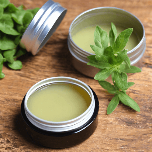 Chickweed Salve 1oz