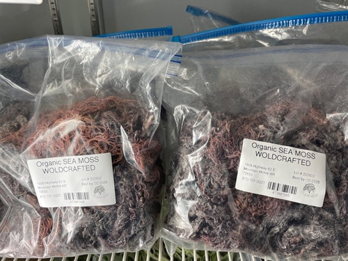Wild crafted organic purple sea moss